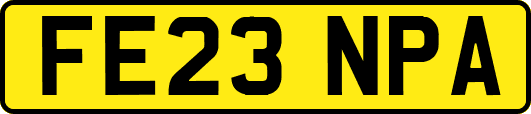 FE23NPA