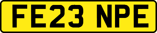 FE23NPE