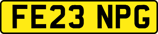FE23NPG