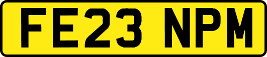 FE23NPM