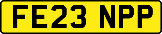 FE23NPP