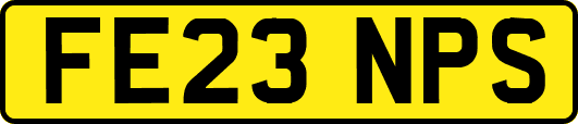 FE23NPS