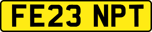 FE23NPT