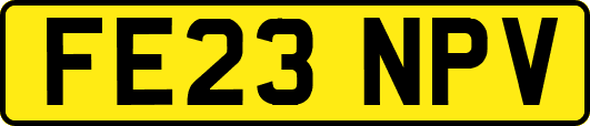 FE23NPV