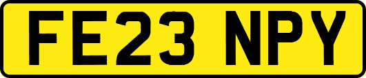 FE23NPY