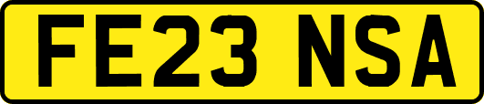 FE23NSA