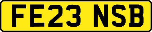 FE23NSB