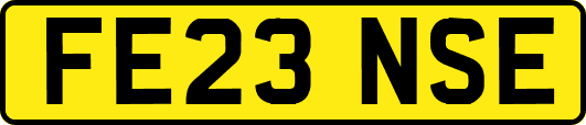 FE23NSE