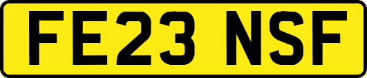 FE23NSF
