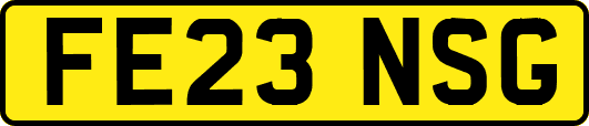 FE23NSG