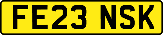FE23NSK