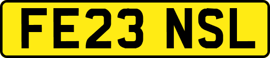 FE23NSL