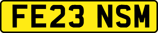 FE23NSM