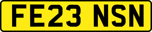 FE23NSN