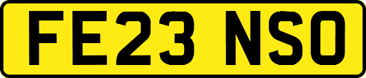 FE23NSO