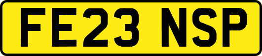 FE23NSP