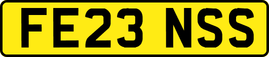 FE23NSS