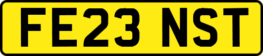 FE23NST