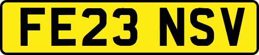 FE23NSV