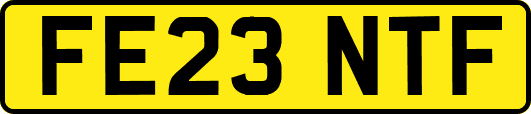 FE23NTF