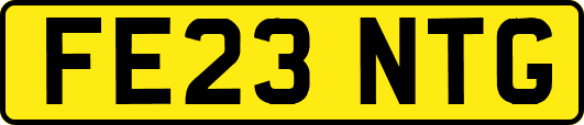 FE23NTG