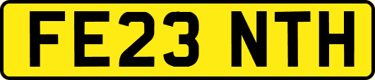 FE23NTH