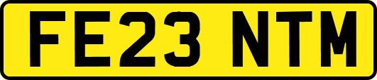 FE23NTM