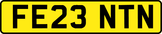 FE23NTN