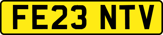 FE23NTV
