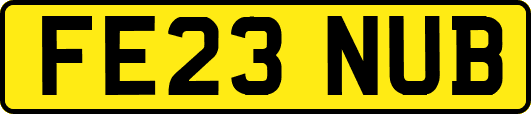FE23NUB