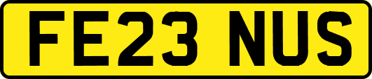 FE23NUS