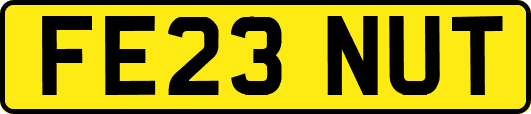FE23NUT