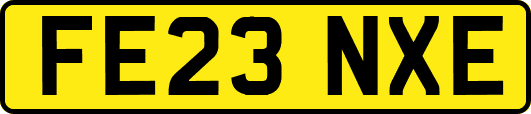 FE23NXE