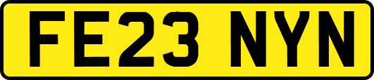 FE23NYN