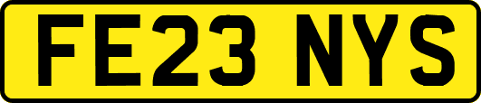 FE23NYS