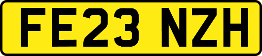 FE23NZH