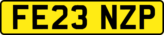 FE23NZP