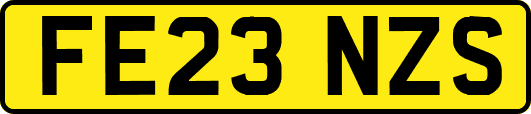 FE23NZS