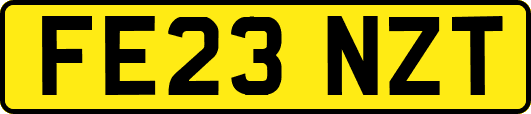 FE23NZT