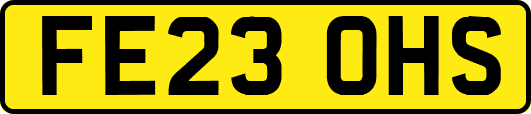 FE23OHS