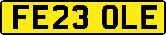 FE23OLE