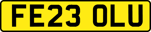 FE23OLU