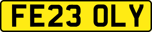 FE23OLY