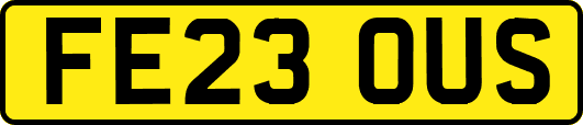 FE23OUS
