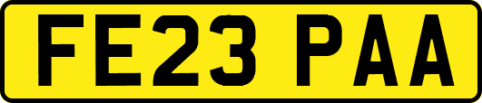 FE23PAA