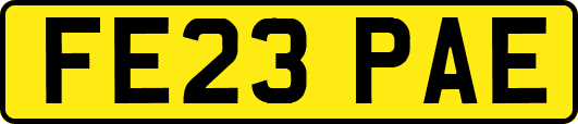 FE23PAE