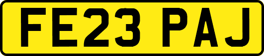 FE23PAJ