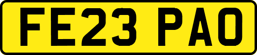 FE23PAO