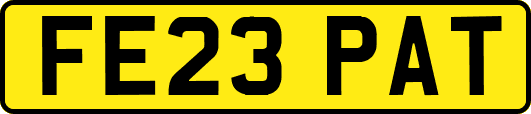 FE23PAT