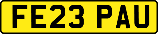 FE23PAU